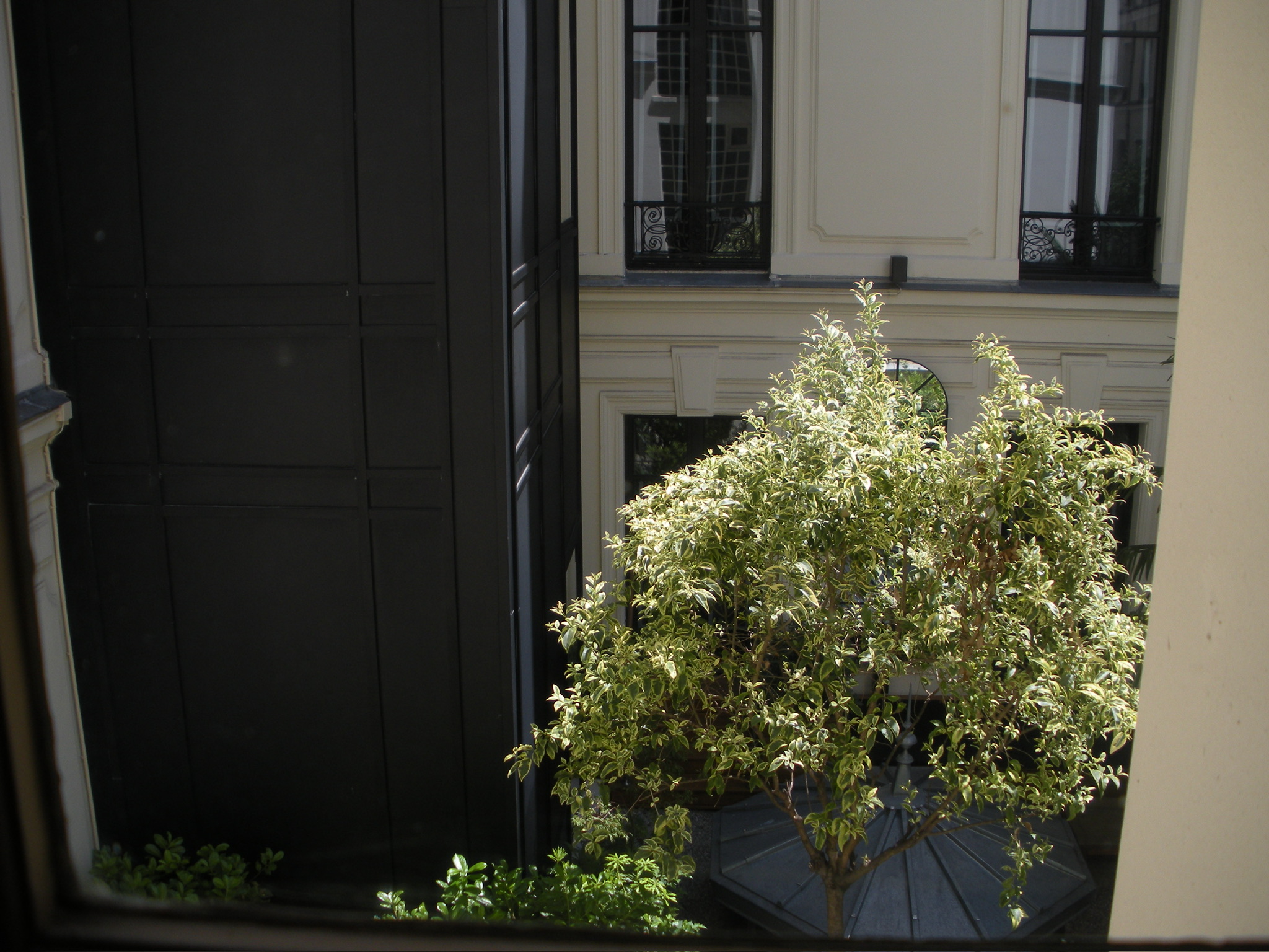 PARIS SUMMER 25 photo